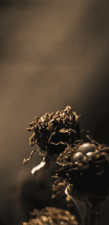 Hero Mobile Background